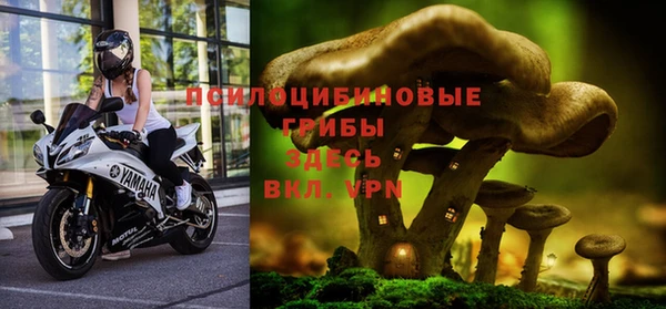 соль ск Михайловск