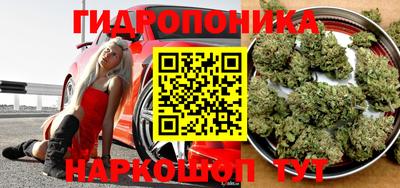 трава Гусиноозёрск