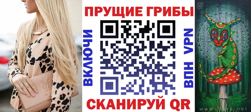 Галлюциногенные грибы MAGIC MUSHROOMS  купить закладку  Сарапул 