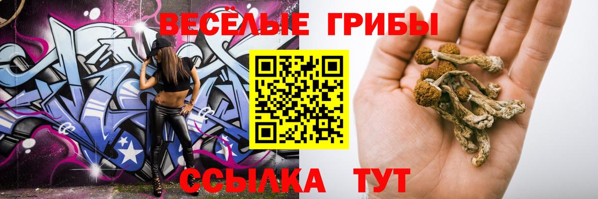 Сарапул  Галлюциногенные грибы Cubensis  Вход с VPN 
